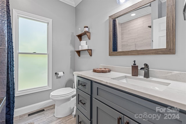 bathroom with vanity, wood-type flooring, a shower, and toilet