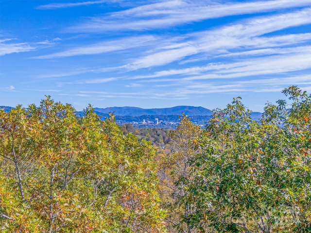 17 Denali Dr, Asheville NC, 28806 land for sale