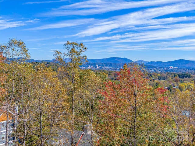 Listing photo 3 for 17 Denali Dr, Asheville NC 28806