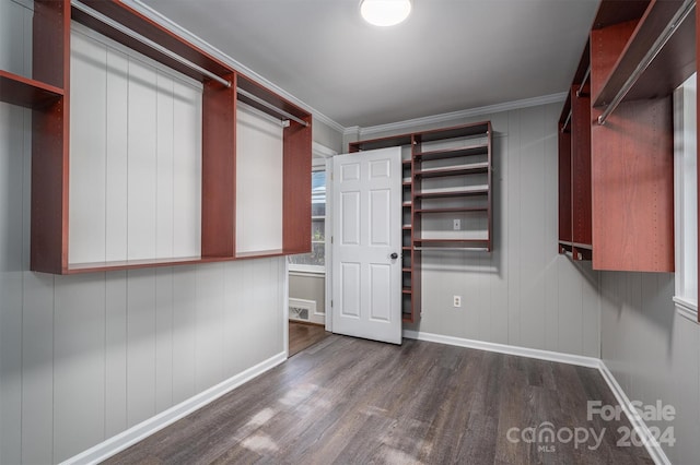 walk in closet featuring dark hardwood / wood-style flooring