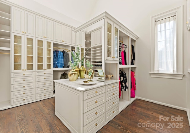 spacious closet featuring dark hardwood / wood-style flooring