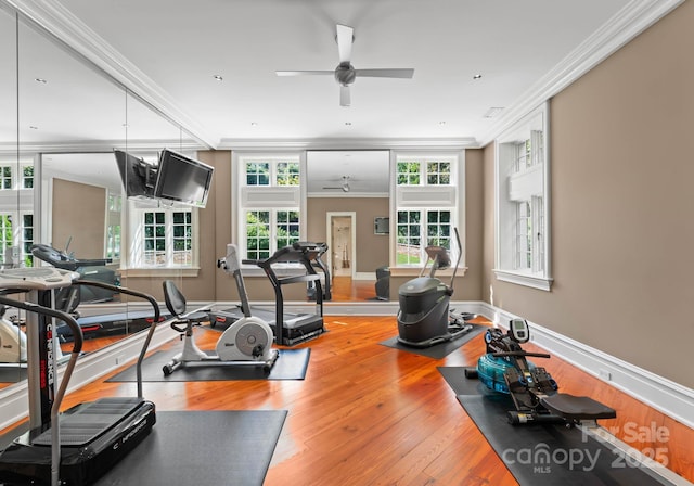 workout area featuring wood-type flooring, ceiling fan, and crown molding