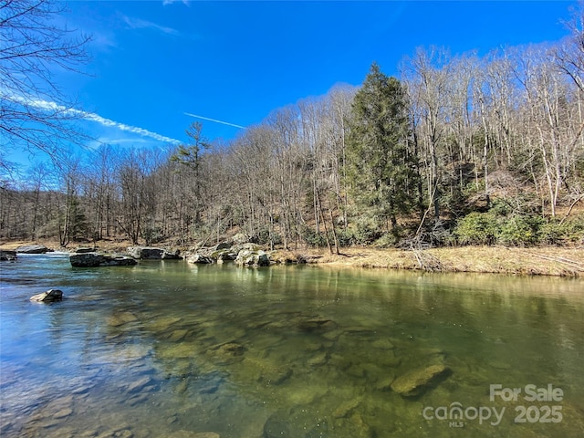 Listing photo 3 for 166ACRES Lower Rush Branch Rd, Sugar Grove NC 28679