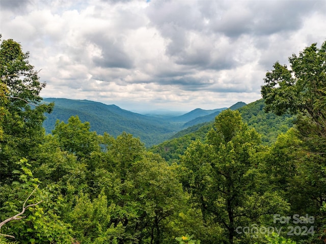 property view of mountains