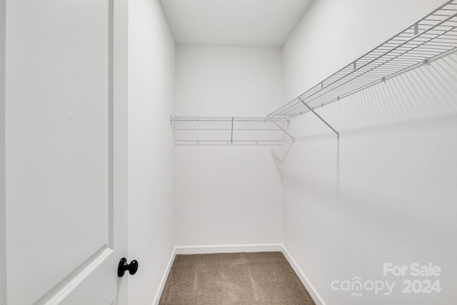 walk in closet with carpet