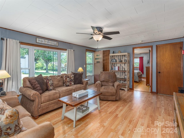 living room with ceiling fan and light hardwood / wood-style floors