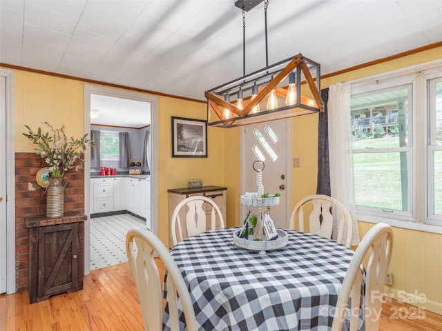 dining area with crown molding and light hardwood / wood-style floors