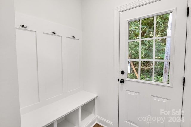 mudroom featuring plenty of natural light