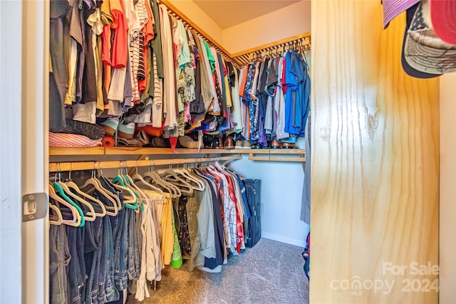 walk in closet with carpet