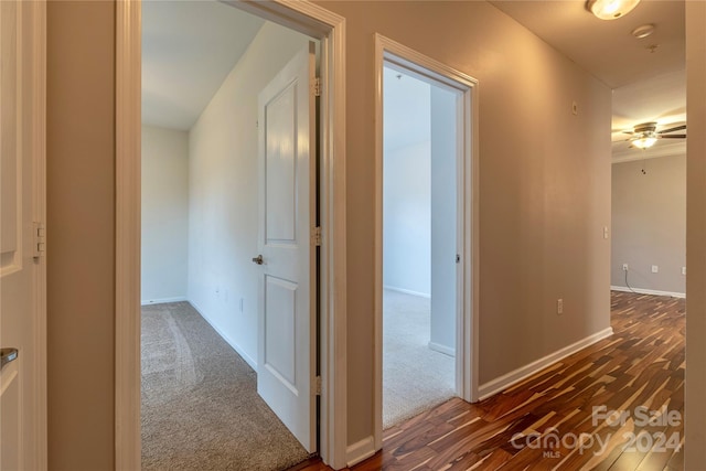 hall featuring dark hardwood / wood-style flooring