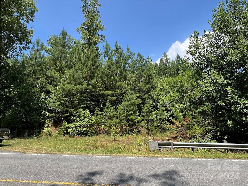 00 NC Highway 226 Unit 15, Bostic, NC 28018 - photo 1