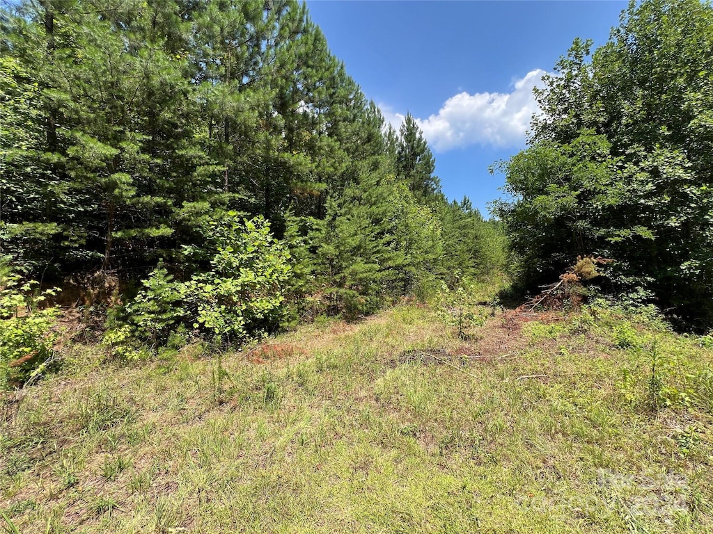 00 NC Highway 226 Unit 15, Bostic, NC 28018 - photo 2