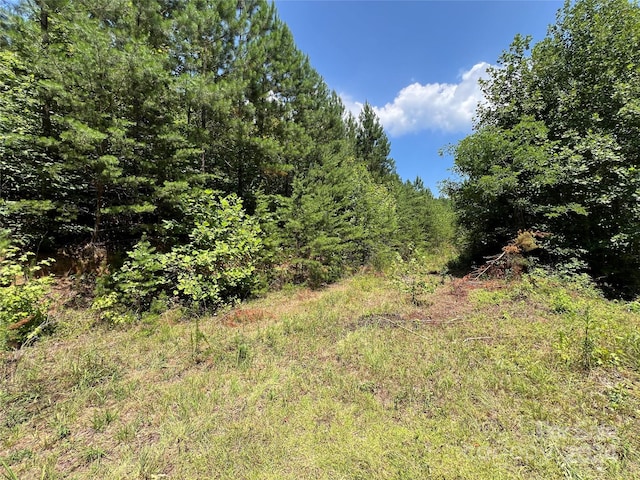 00 NC Highway 226 Unit 15, Bostic, NC 28018 - photo 2