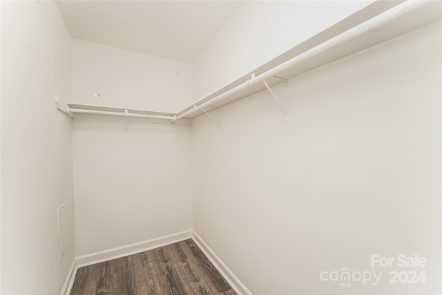 walk in closet featuring dark hardwood / wood-style floors