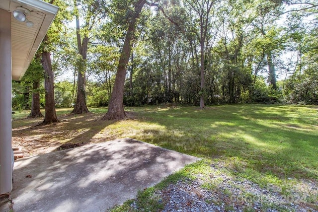 view of yard featuring a patio area