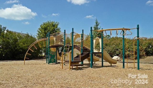 view of jungle gym