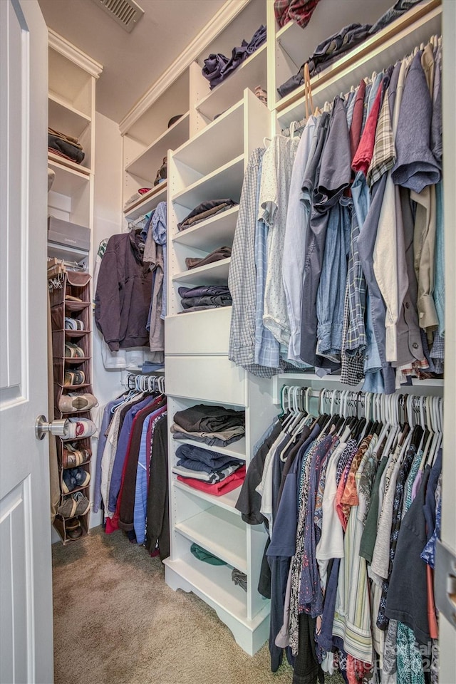 spacious closet with carpet flooring