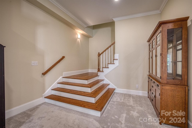 stairway featuring carpet flooring and crown molding