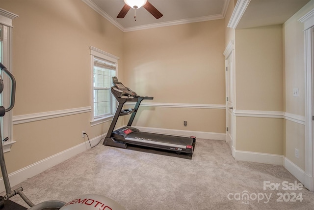 exercise room with ceiling fan, light colored carpet, and ornamental molding