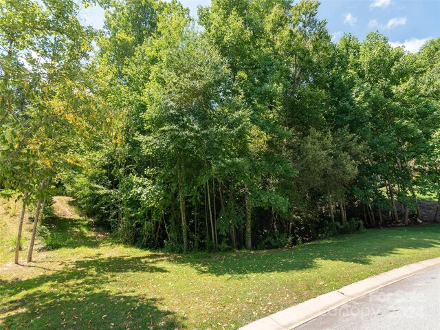 Listing photo 2 for 340 Mistletoe Trl Unit 46, Hendersonville NC 28791