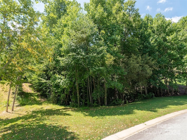 Listing photo 2 for 340 Mistletoe Trl Unit 46, Hendersonville NC 28791