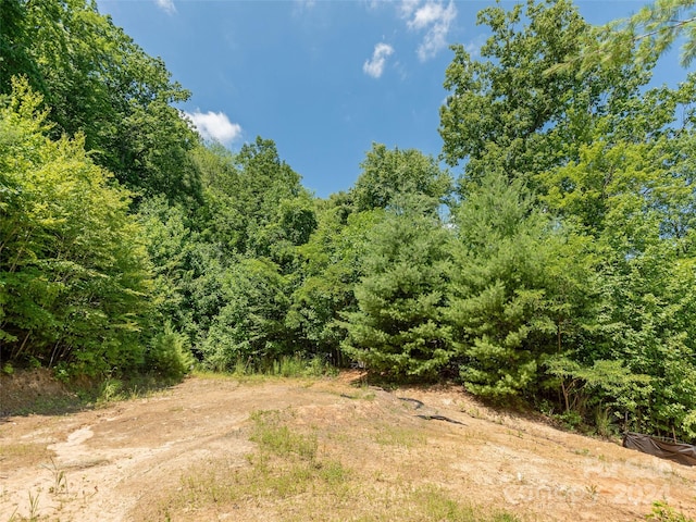 Listing photo 3 for 340 Mistletoe Trl Unit 46, Hendersonville NC 28791