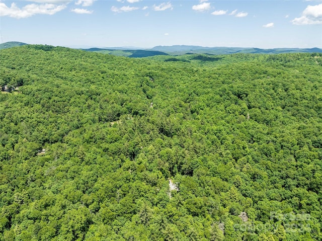 bird's eye view with a mountain view