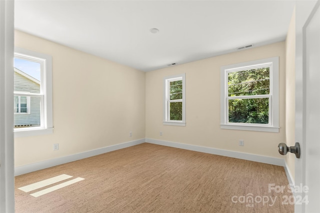 spare room featuring a healthy amount of sunlight and light carpet