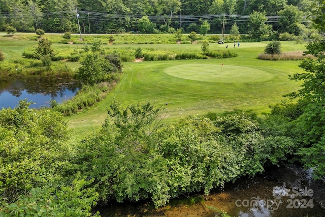 view of property's community with a lawn and a water view