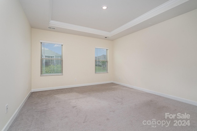 carpeted empty room with crown molding, plenty of natural light, and a tray ceiling