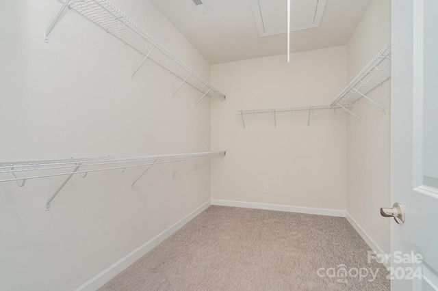 walk in closet with light carpet