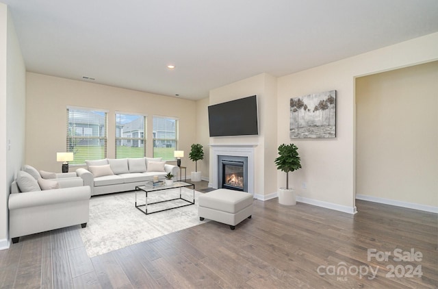 living room with hardwood / wood-style flooring