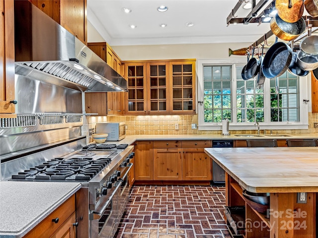 kitchen featuring sink, tasteful backsplash, high end stainless steel range oven, and exhaust hood