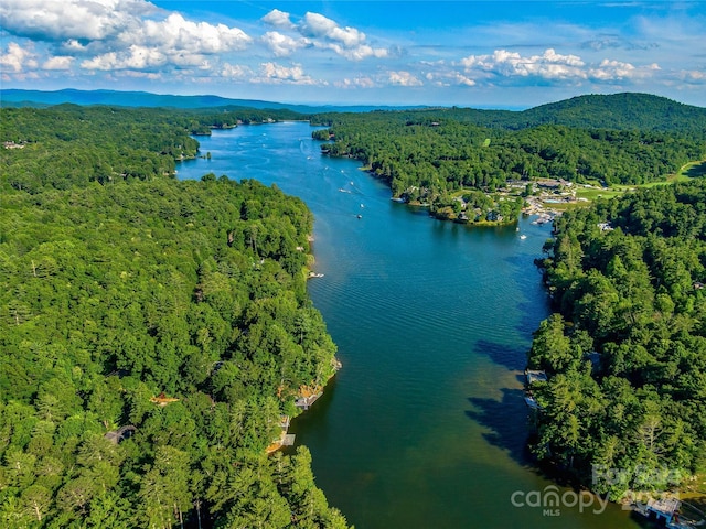 birds eye view of property featuring a water and mountain view