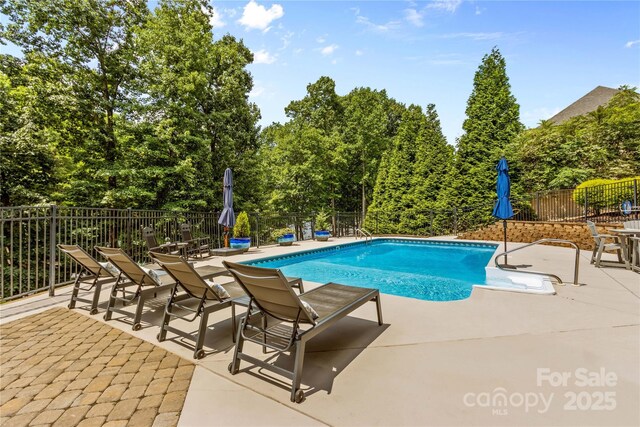 view of swimming pool featuring a patio area