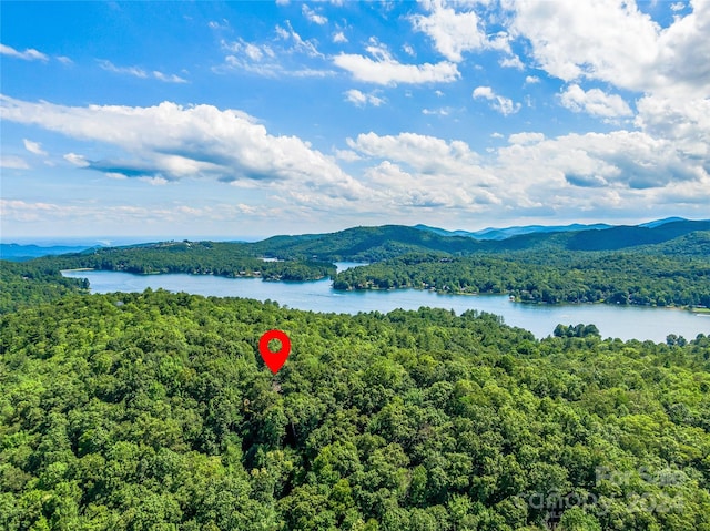 drone / aerial view with a water and mountain view