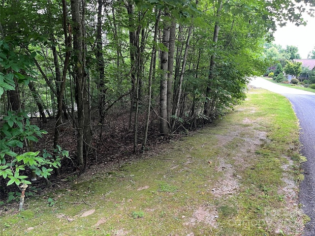 185 Ladys Fern Trl Unit 8-G, Hendersonville NC, 28739 land for sale