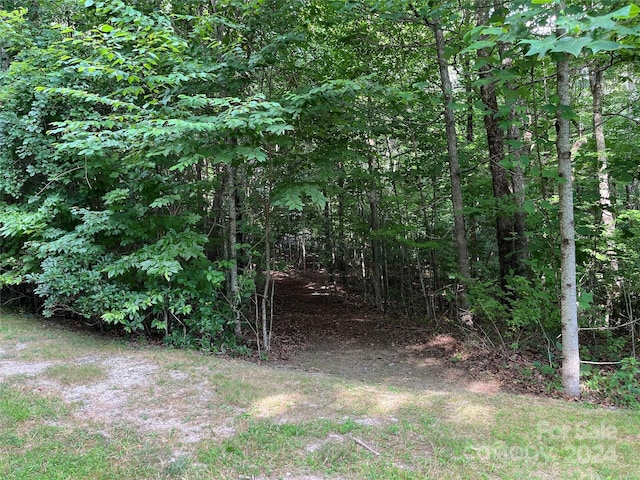 Listing photo 3 for 185 Ladys Fern Trl Unit 8-G, Hendersonville NC 28739