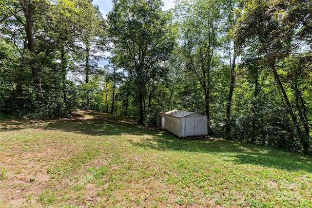 view of yard featuring a storage unit