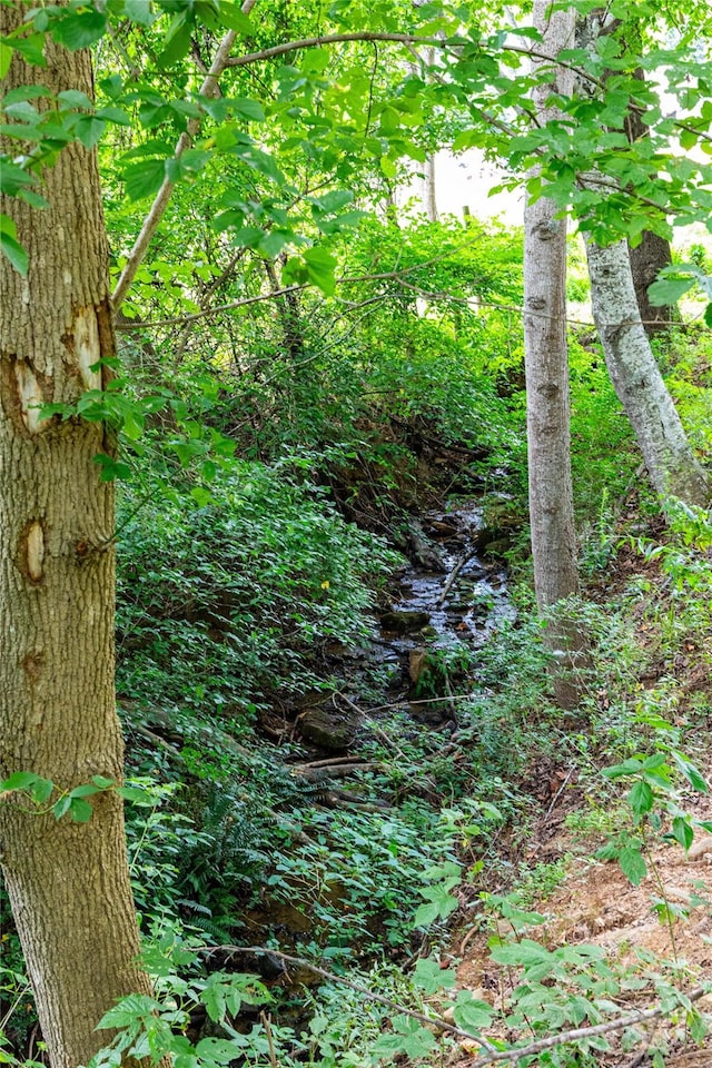 view of nature featuring a water view