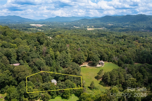 birds eye view of property featuring a view of trees and a mountain view