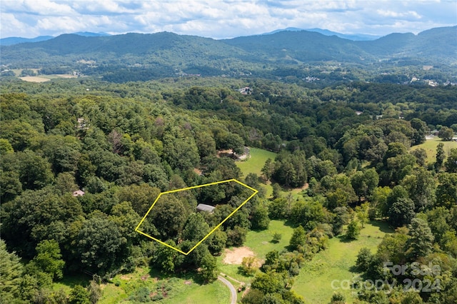 aerial view with a mountain view and a forest view