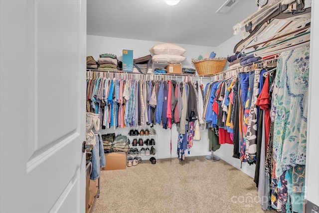 view of spacious closet