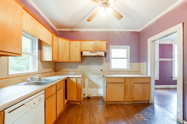 kitchen with sink, hardwood / wood-style flooring, dishwasher, and ornamental molding