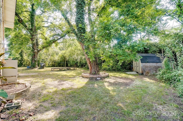 view of yard featuring a storage unit