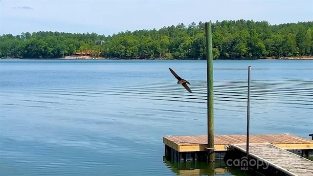 view of dock with a water view