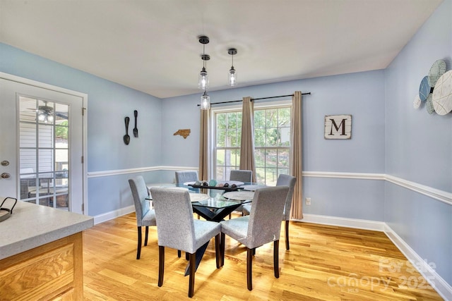 dining room with light hardwood / wood-style flooring