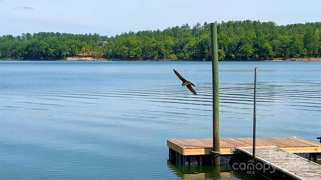 5692 Marblestone Dr, Granite Falls, NC 28630 - dock featuring a water view and a wooded view