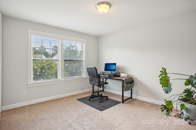 office featuring carpet floors