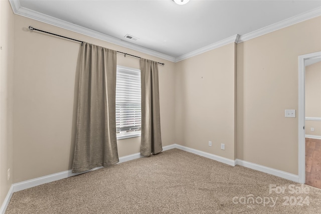 empty room featuring carpet floors and crown molding